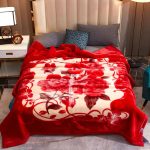 king Size Queen High Quality Thick Warm Fluffy Blanket Home Soft Raschel  2 Ply Blankets  Pvc Bag Throw Blankets for Winter - Image 15