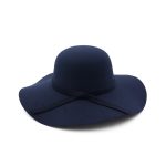 HDP-289 Latest Fall Unisex Plush Woolen Furry Brimmed Fedora Hat Vintage 2023 Jazz Hats - Image 9