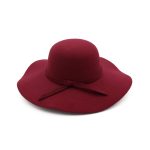 HDP-289 Latest Fall Unisex Plush Woolen Furry Brimmed Fedora Hat Vintage 2023 Jazz Hats - Image 13