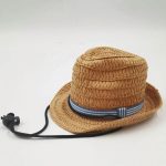 Mini-0031 Custom Panama Fedora Pet Dog Cat Mini Small Party Straw Hat - Image 6