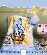 Baby  Super Soft Raschel Blanket Wholesale Manta 2ply Blanket - Image 4