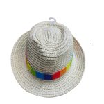 Mini-0031 Custom Panama Fedora Pet Dog Cat Mini Small Party Straw Hat