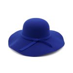 HDP-289 Latest Fall Unisex Plush Woolen Furry Brimmed Fedora Hat Vintage 2023 Jazz Hats - Image 11
