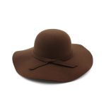 HDP-289 Latest Fall Unisex Plush Woolen Furry Brimmed Fedora Hat Vintage 2023 Jazz Hats - Image 12