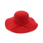 HDP-289 Latest Fall Unisex Plush Woolen Furry Brimmed Fedora Hat Vintage 2023 Jazz Hats - Image 2