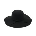 HDP-289 Latest Fall Unisex Plush Woolen Furry Brimmed Fedora Hat Vintage 2023 Jazz Hats - Image 7