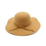 HDP-289 Latest Fall Unisex Plush Woolen Furry Brimmed Fedora Hat Vintage 2023 Jazz Hats - Image 8