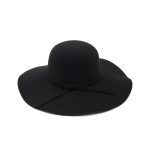 HDP-289 Latest Fall Unisex Plush Woolen Furry Brimmed Fedora Hat Vintage 2023 Jazz Hats - Image 6