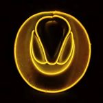 Wholesale Colorful Holographic Neno Led Light up Cowboy Hat Adult Halloween Christmas Party bar Cosplay Costume Cowgirl Hat - Image 10