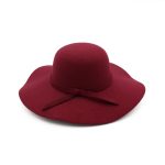 HDP-289 Latest Fall Unisex Plush Woolen Furry Brimmed Fedora Hat Vintage 2023 Jazz Hats - Image 5